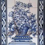 223-6