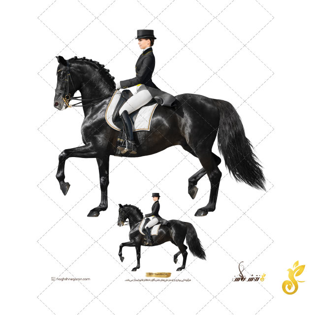 DTF-34 DTF-34 - Image 1