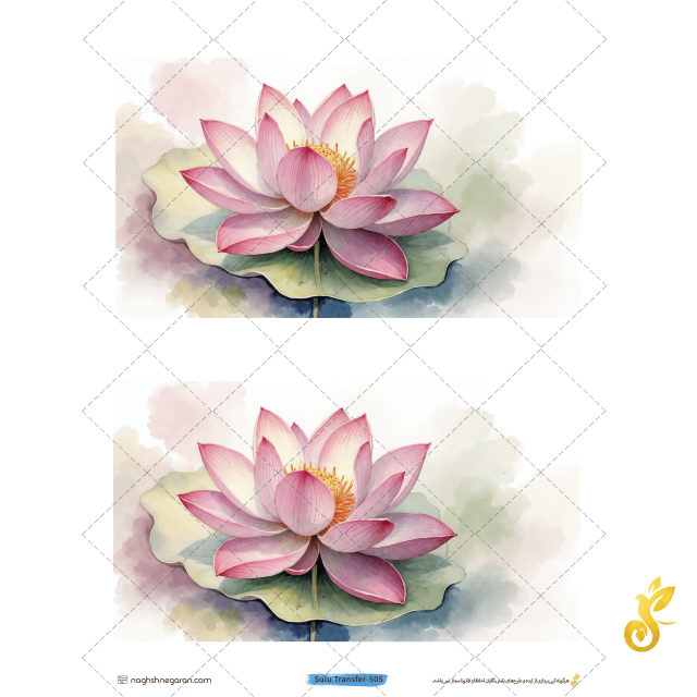 Transfer-505 Transfer-505 - Image 1