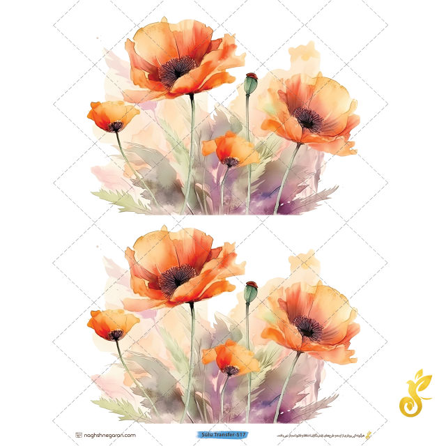 Transfer-517 Transfer-517 - Image 1