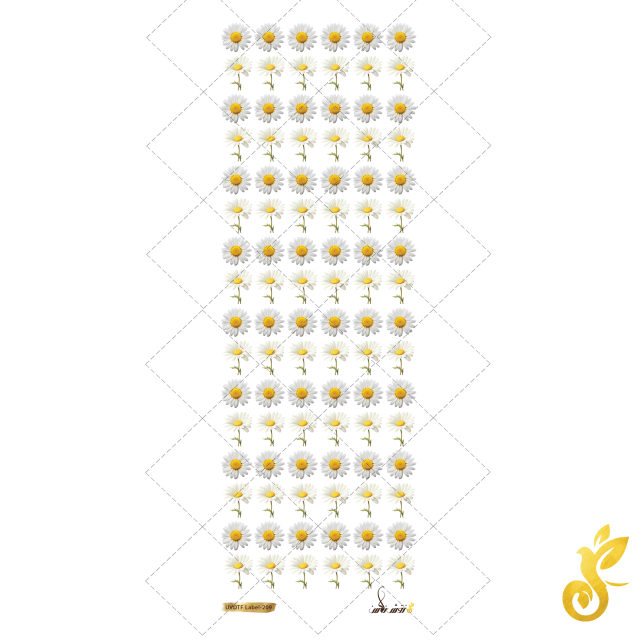 UVDTF-209 Small-Uvdtf-213 - Image 1