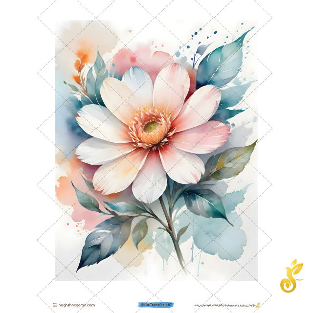 transfer-487 Transfer-487 - Image 1