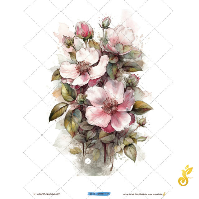 transfer-494 Transfer-494 - Image 1