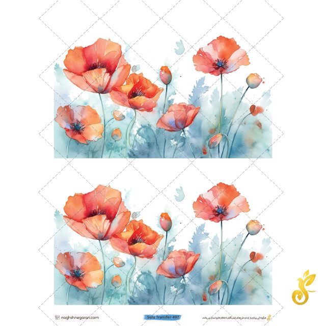 transfer-497 Transfer-497 - Image 1