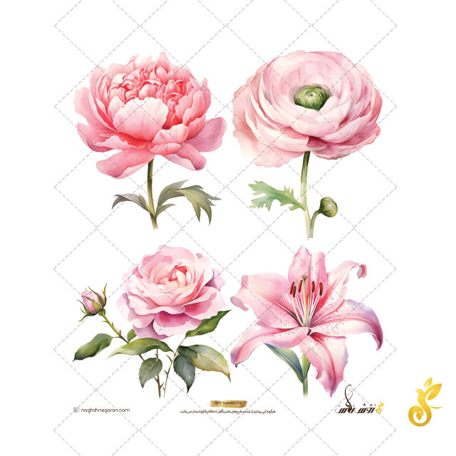 DTF-70 DTF-70 - Image 1